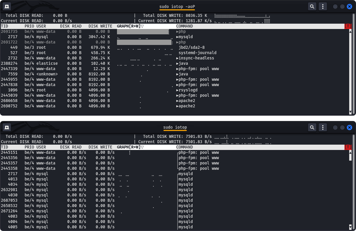 Screen 3. Examples of usage of the iotop command.